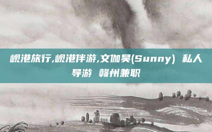 巢湖岘港旅行,岘港伴游,文伽昊(Sunny) 私人导游 赣州兼职