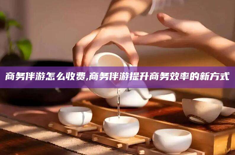 巢湖商务伴游怎么收费,商务伴游提升商务效率的新方式